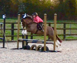 clear round Matilda