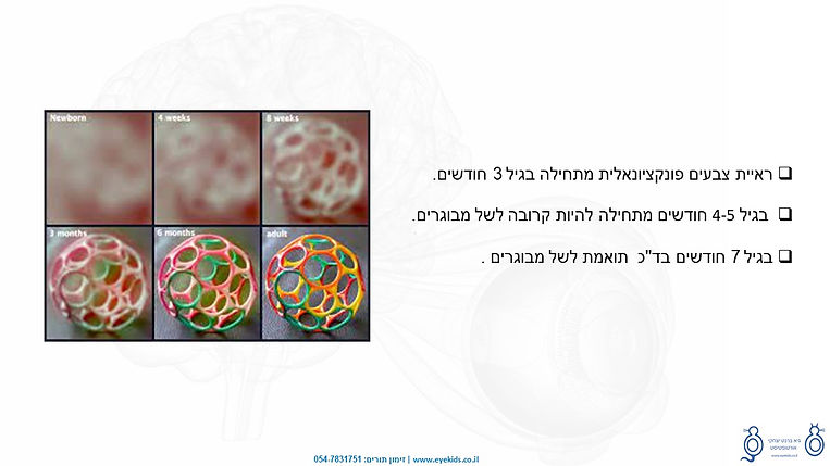 ראיית צבעים בילדים גיא ברנט יצחקי אורטופטיקה עיוורון צבעים ראיית צבעים בתינוקות בדיקת עי