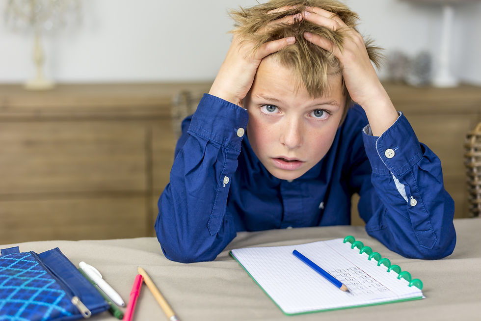 Workshop: Homework Strategies and Q & A