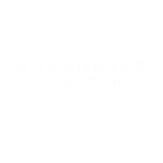 transparent logo (4).png