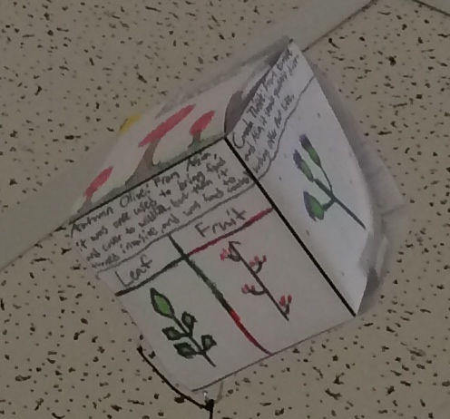 Cube 2.JPG