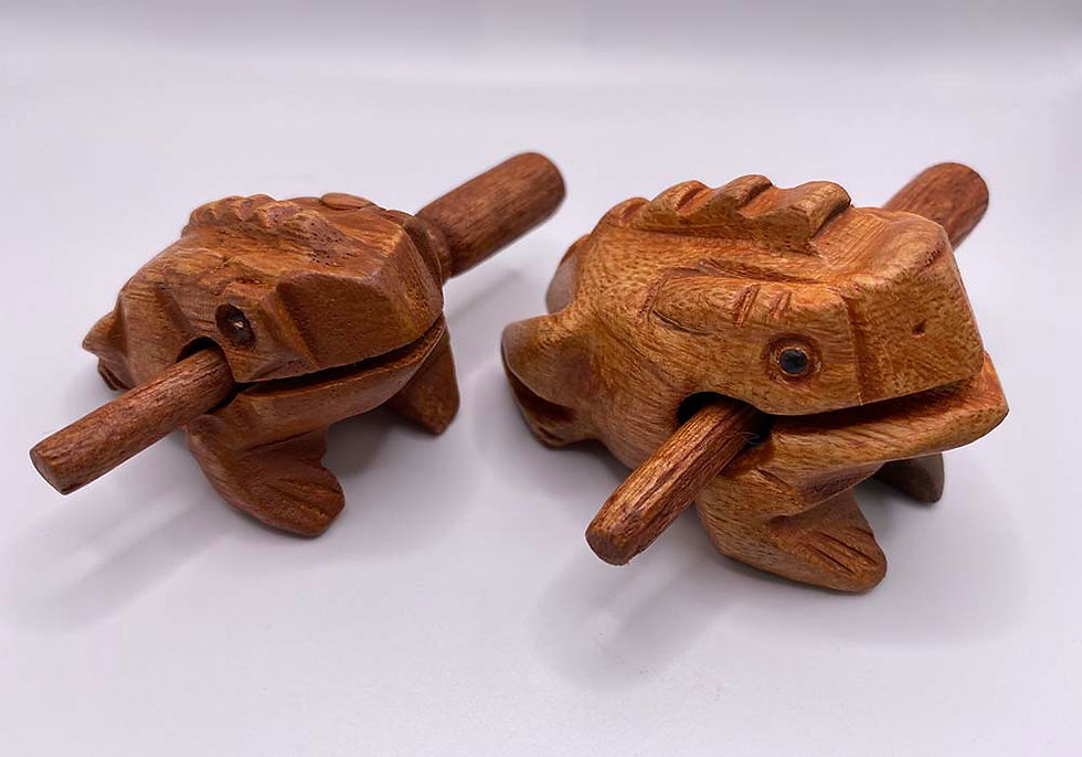 Thumbnail: frog rasp instruments