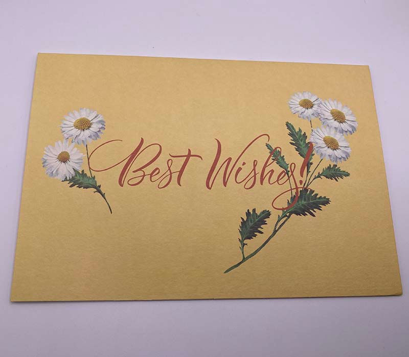 pot of daisies pop up card