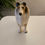 Thumbnail: Vintage Coopercraft Rough Collie Ceramic Figurine Ornament