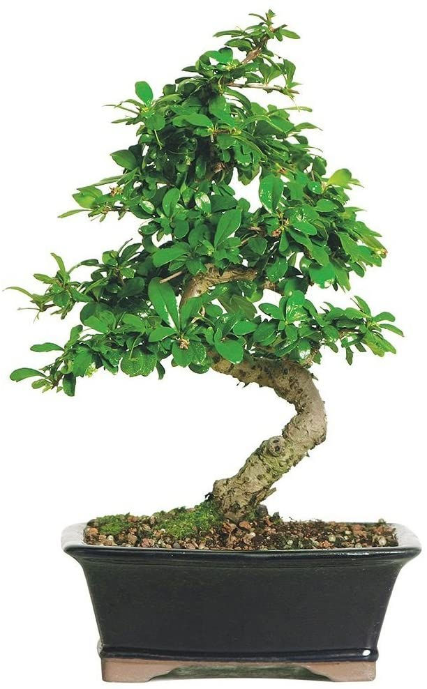 unique christmas gifts for her