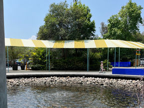 Vuelta al lago de Chapultepec y Mercado de San Juan