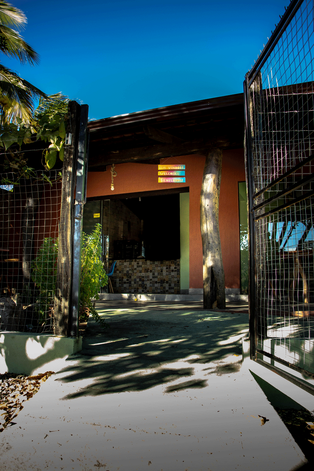 Entrada.gif