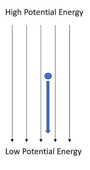 Screenshot 2023-02-24 124222.png