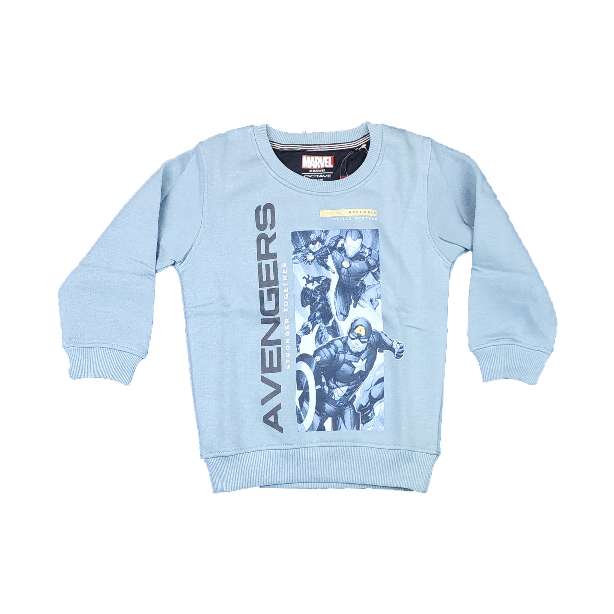 Boys Octave Brand Sweat Shirt (With Inner Fur)
