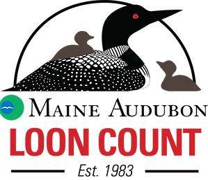 LoonCountLogo.png
