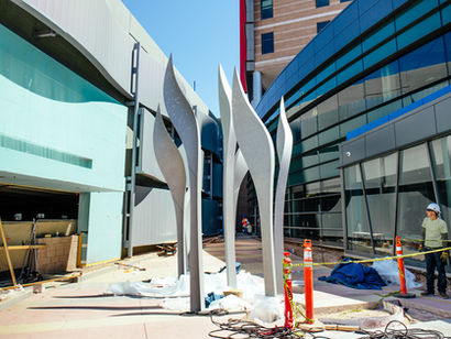 Sprouts Installation at Phoenix Children’s Hospital!