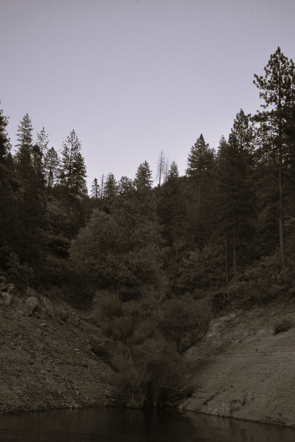 Emulating a Professional Photographer