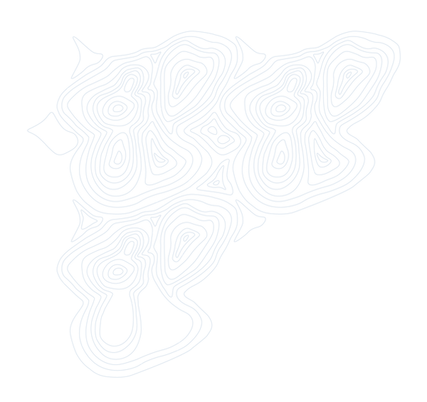 LINEAS-07.png