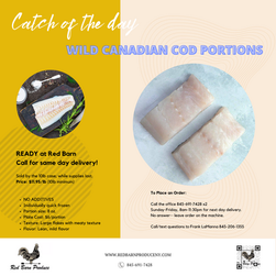 WILD CANADIAN COD PORTIONS (4).png