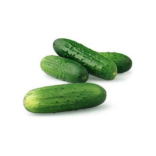 KIRBY CUCUMBER Red Barn Produce NY