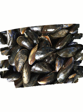 SHELLFISH MUSSELS 10LB BAG.png