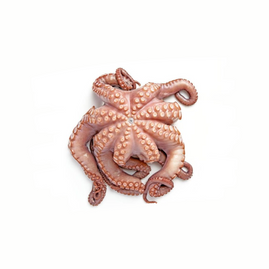 CLEANED OCTOPUS 24 SPAIN.png