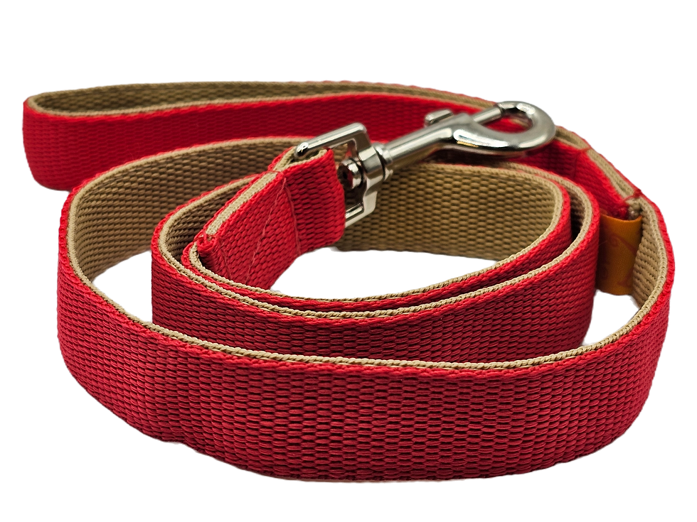Thumbnail: Dachshunds In Jumpers 1"/25mm Width
