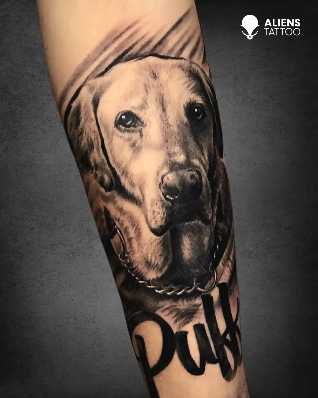 realism dog Tattoo