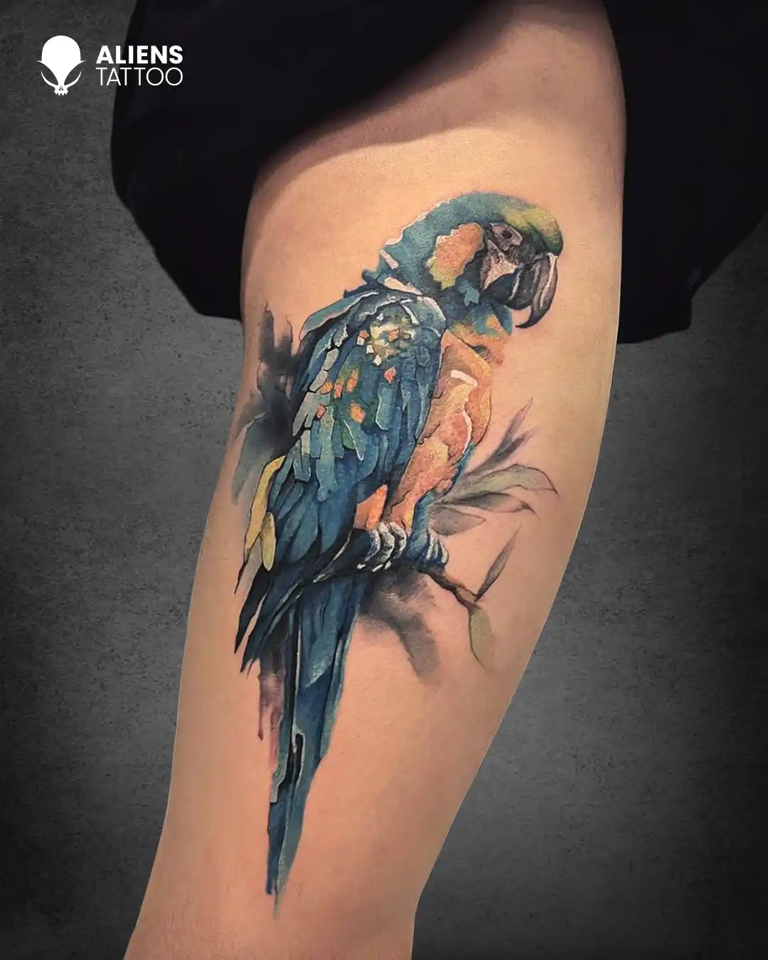 Water color Parrot tattoo