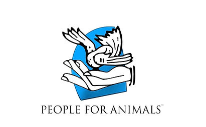 WhatsApp Image 2026-04-04 at 10.49.47 AM.jpeg