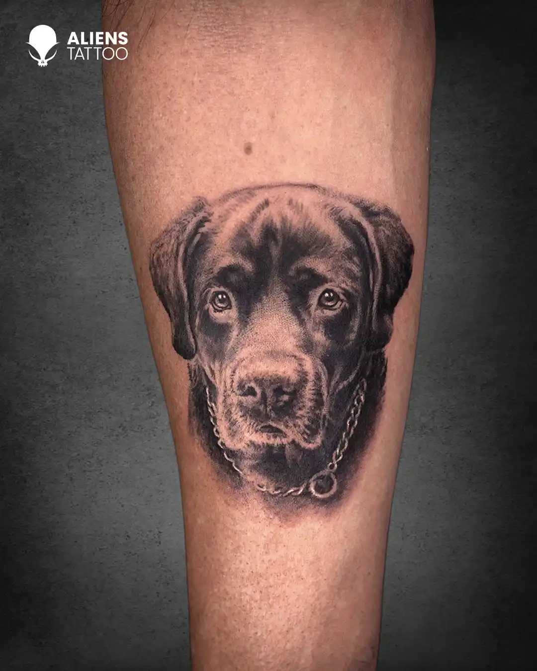 Dog Portrait Tattoo