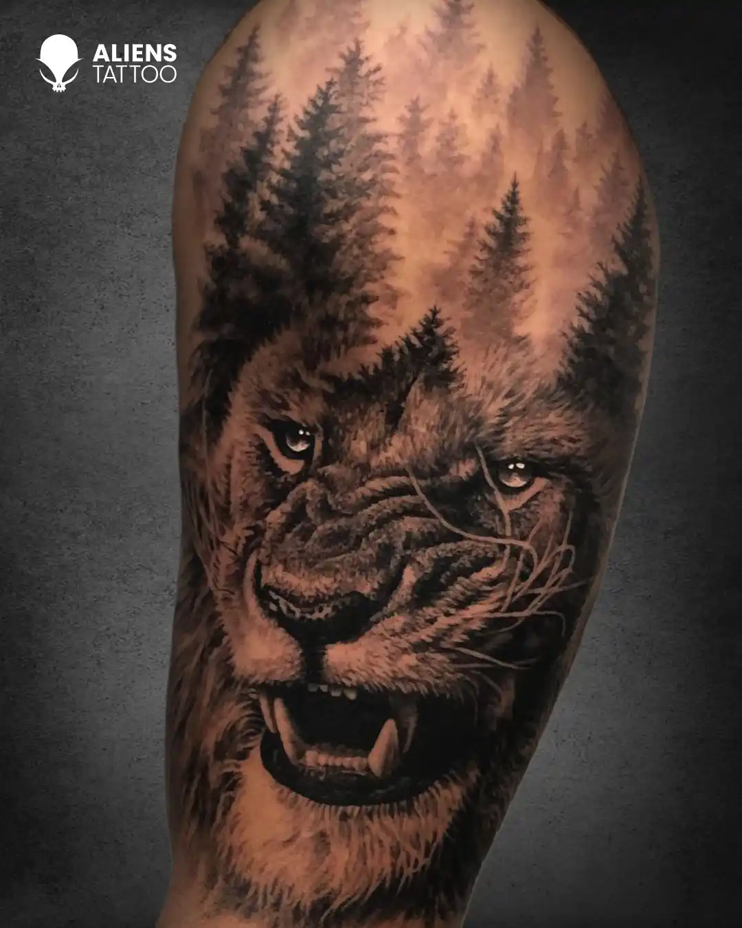 Lion Tattoo
