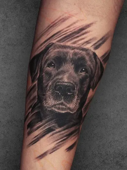 Realistic black-and-grey dog portrait tattoo with brushstroke effect, placed on a male forearm.