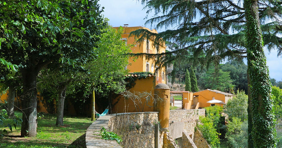 Outside Wall OK LR.jpg