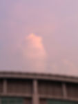 1241713755206_.pic_hd.jpg