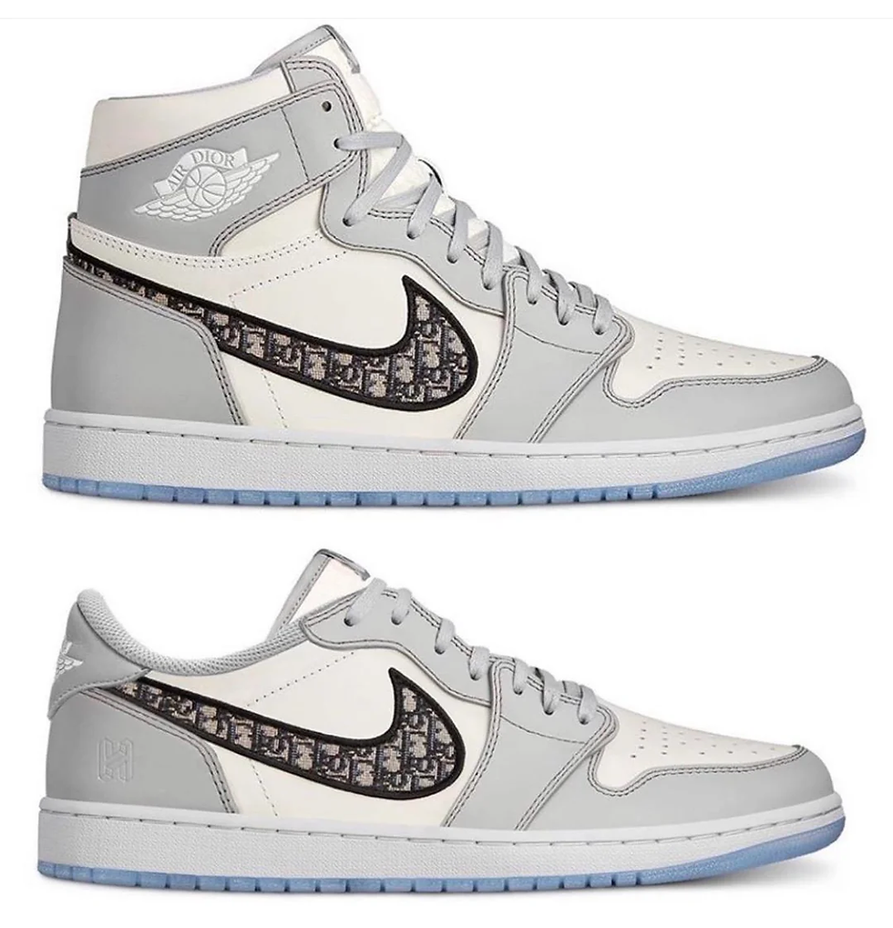 Dior x Nike Jordan 1 High and Low