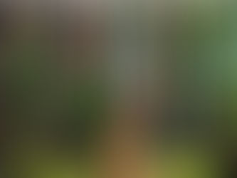 Post-defeat Trump Seen in Woods Releasing Melania into the Wild