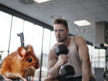 11 Ways to Not Look Like a Pussy Around Rodents