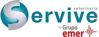 SERVIVE very cropped.jpg