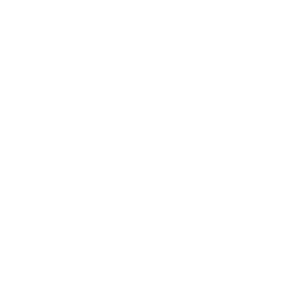noun-snowflake-3964419-FFFFFF.png