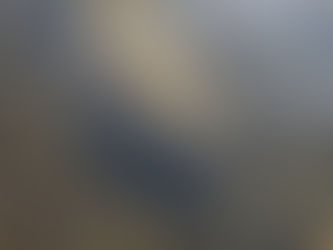 Ralentir en bateau, c’est protéger le lamantin des Antilles… et se donner une chance de l’observer