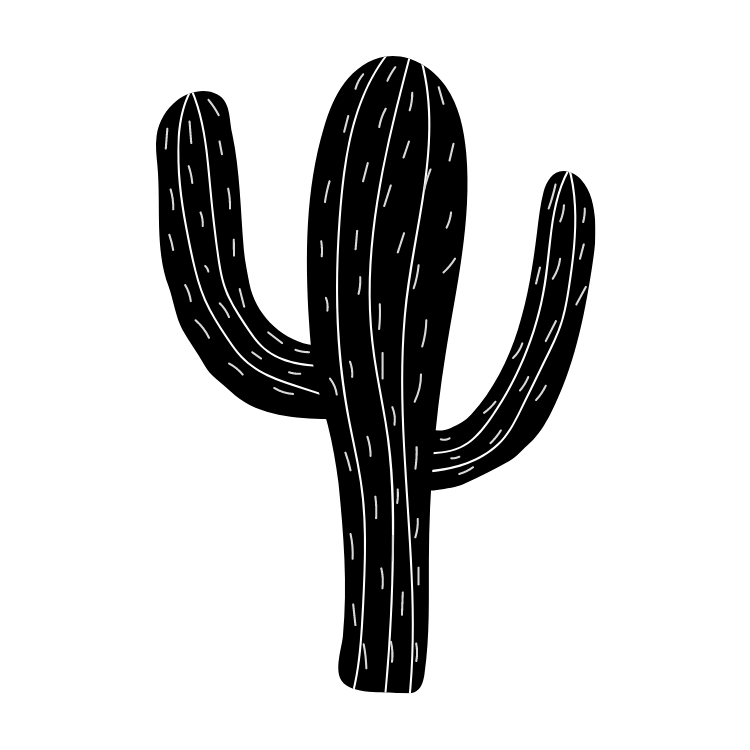 19.png