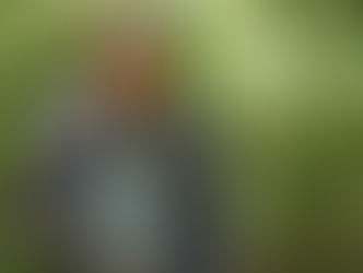 La artificial dicotomía entre progreso y protección ambiental - Columna de opinión 