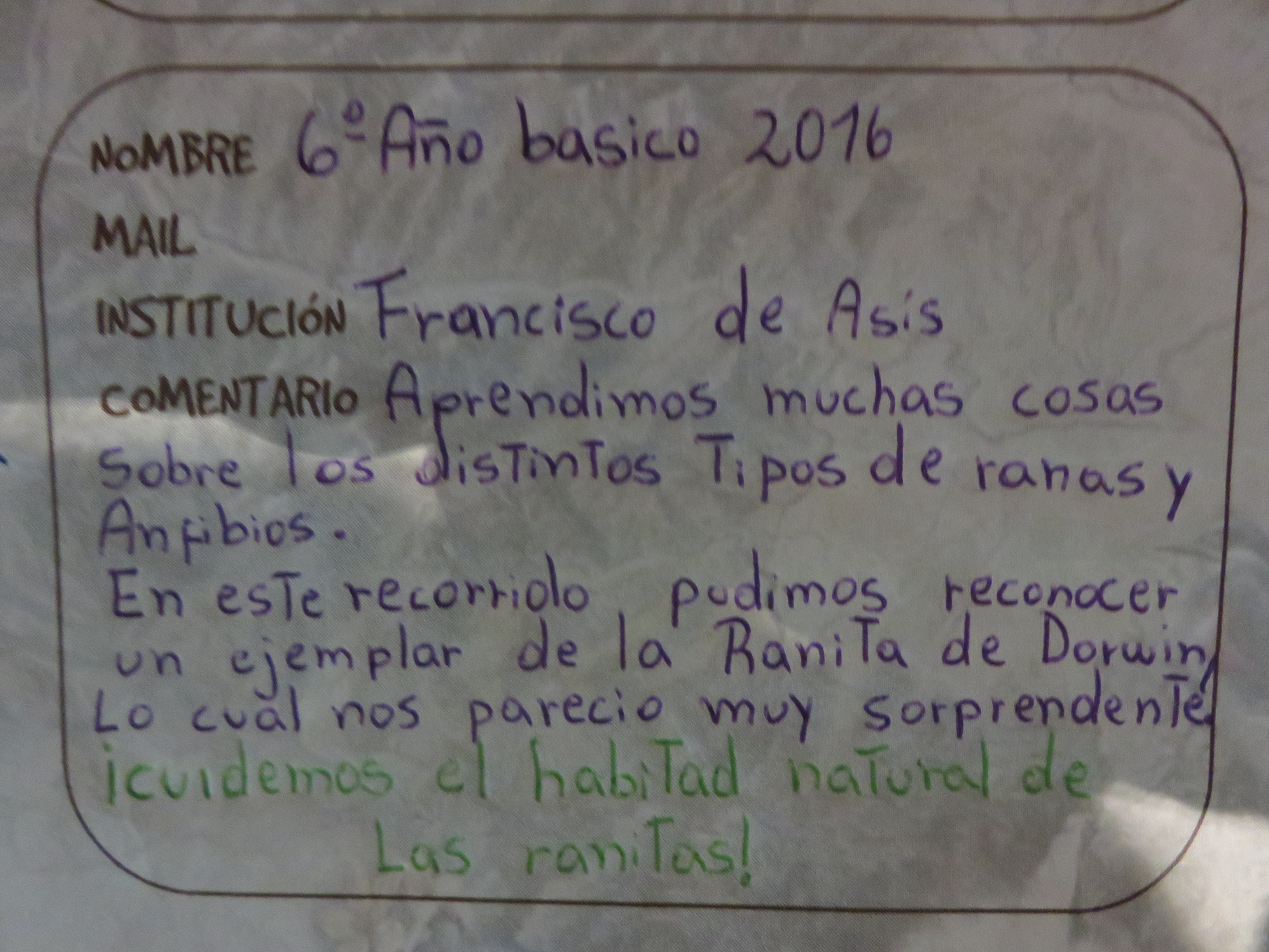Mensaje de niños