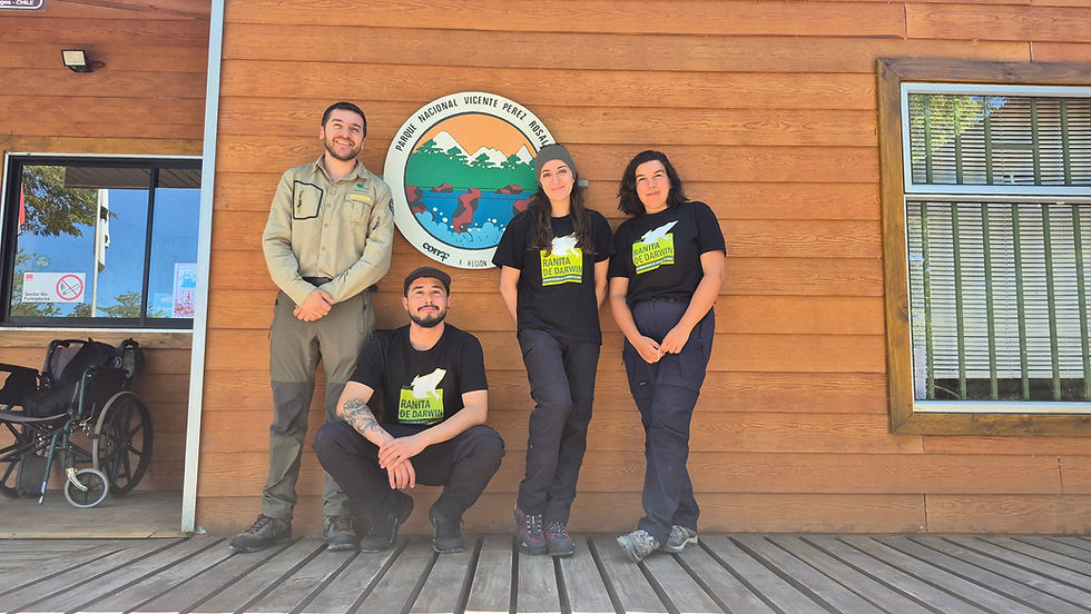 Parque Nacional Vicente Perez Rosales - ONG Ranita de Darwin