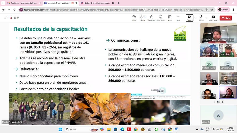 Parque Nacional Vicente Perez Rosales - ONG Ranita de Darwin