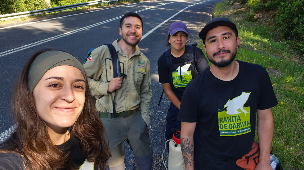 Parque Nacional Vicente Perez Rosales - ONG Ranita de Darwin