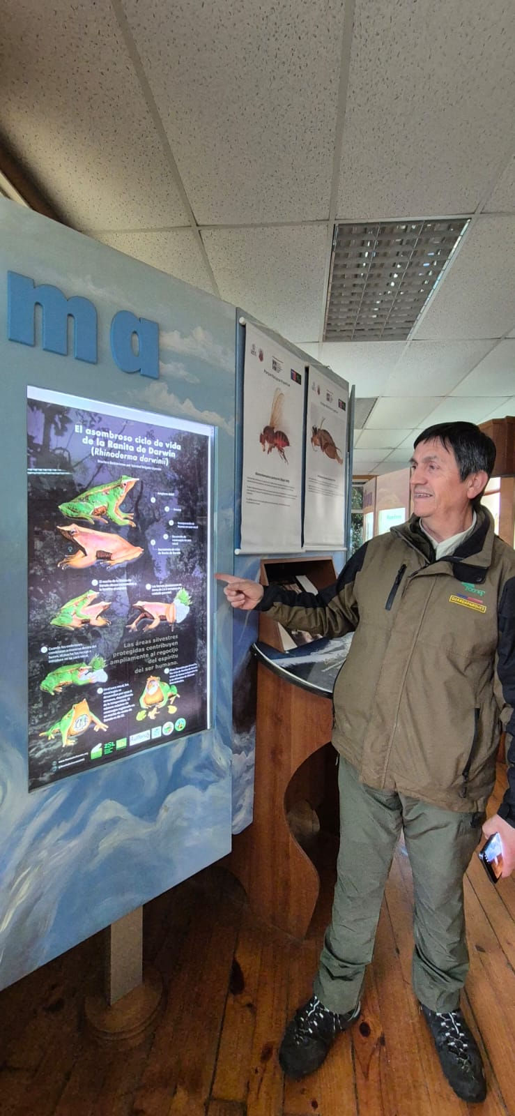 ONG Ranita de Darwin - PN Puyehue