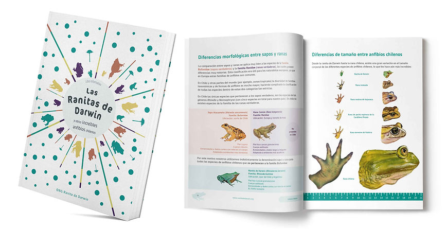 Libro las ranitas de Darwin y otros increibles anfibios chilenosg