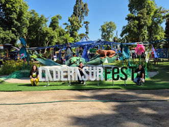 Un fin de semana para celebrar la colaboración: Practicantes y voluntariados hacen crecer a ONG Ranita de Darwin