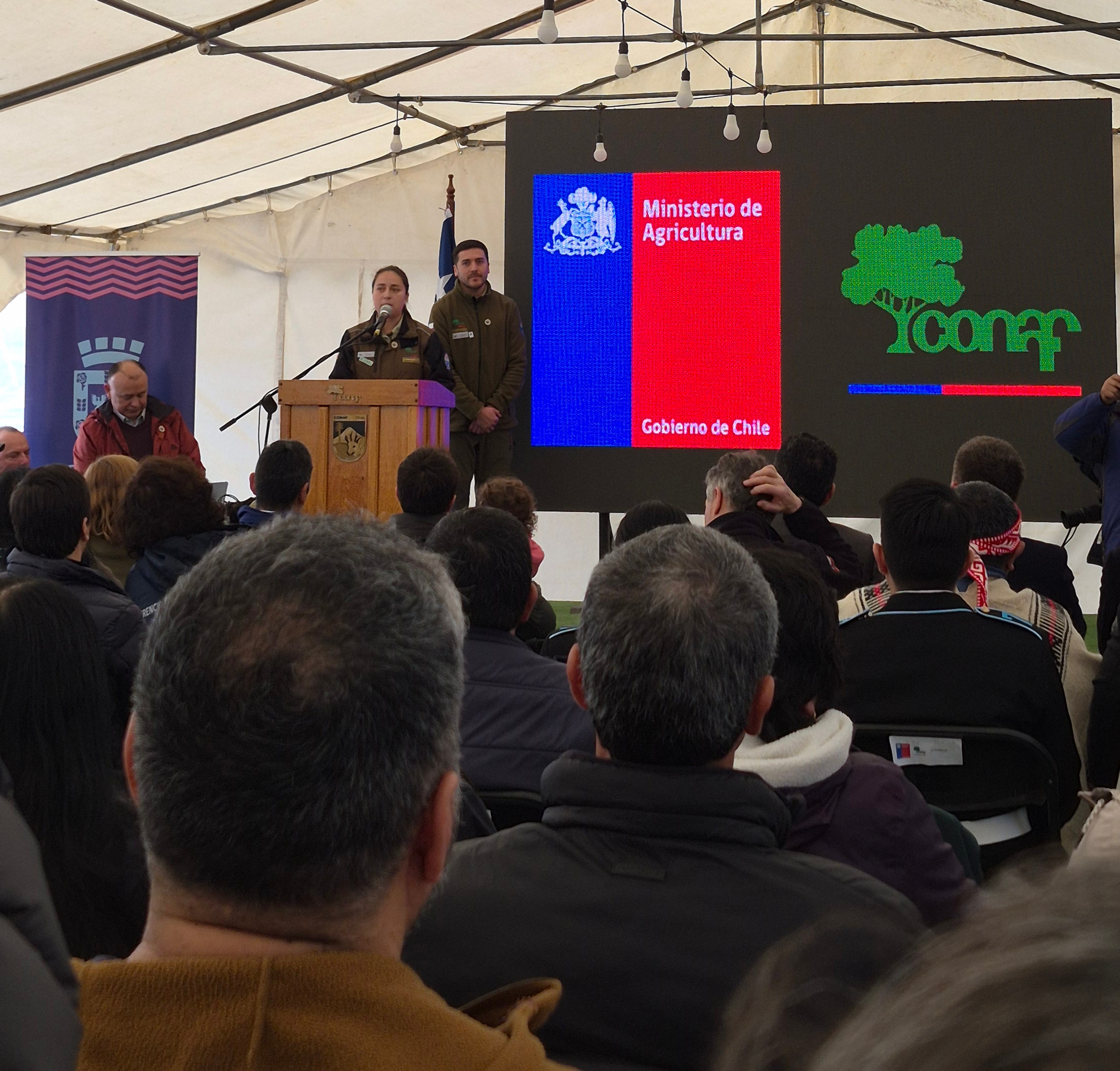 ONG Ranita de Darwin es reconocida en Ceremonia del Centenario del Parque Nacional Vicente Pérez Rosales