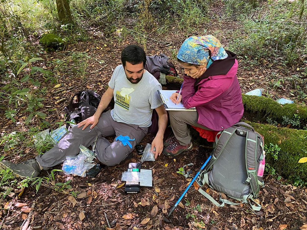 Investigadores Andrés Valenzuela Sánchez y Soledad Delgado Oyarzún en periodo de investigación en terreno - ONG Ranita de Darwin