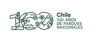Logo-100-años.png