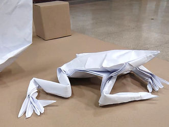 Estuvimos presentes en Hora del Planeta 2026 de WWF Chile