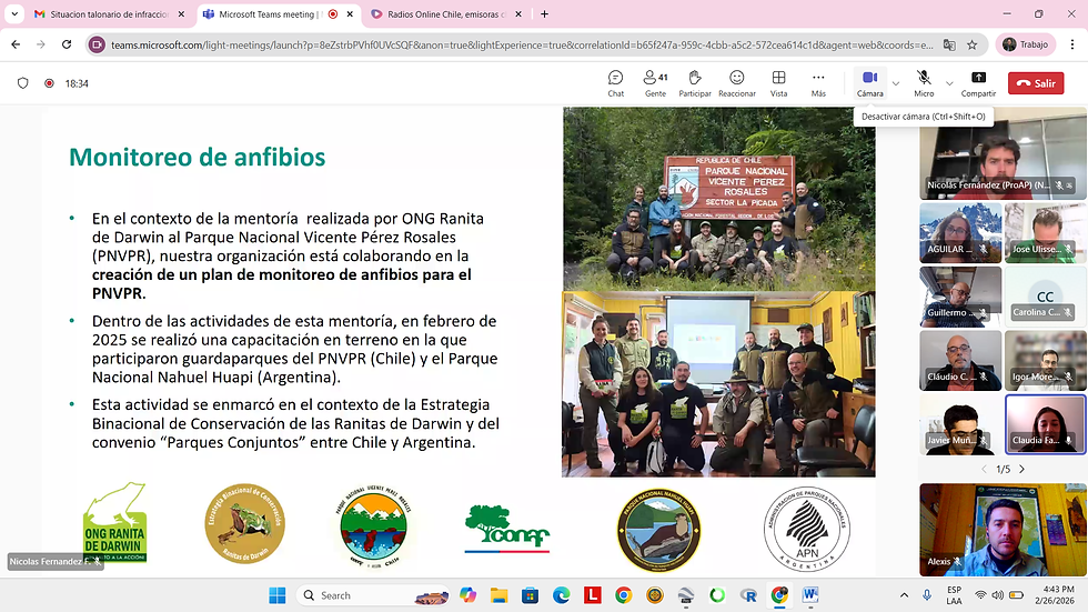 Parque Nacional Vicente Perez Rosales - ONG Ranita de Darwin